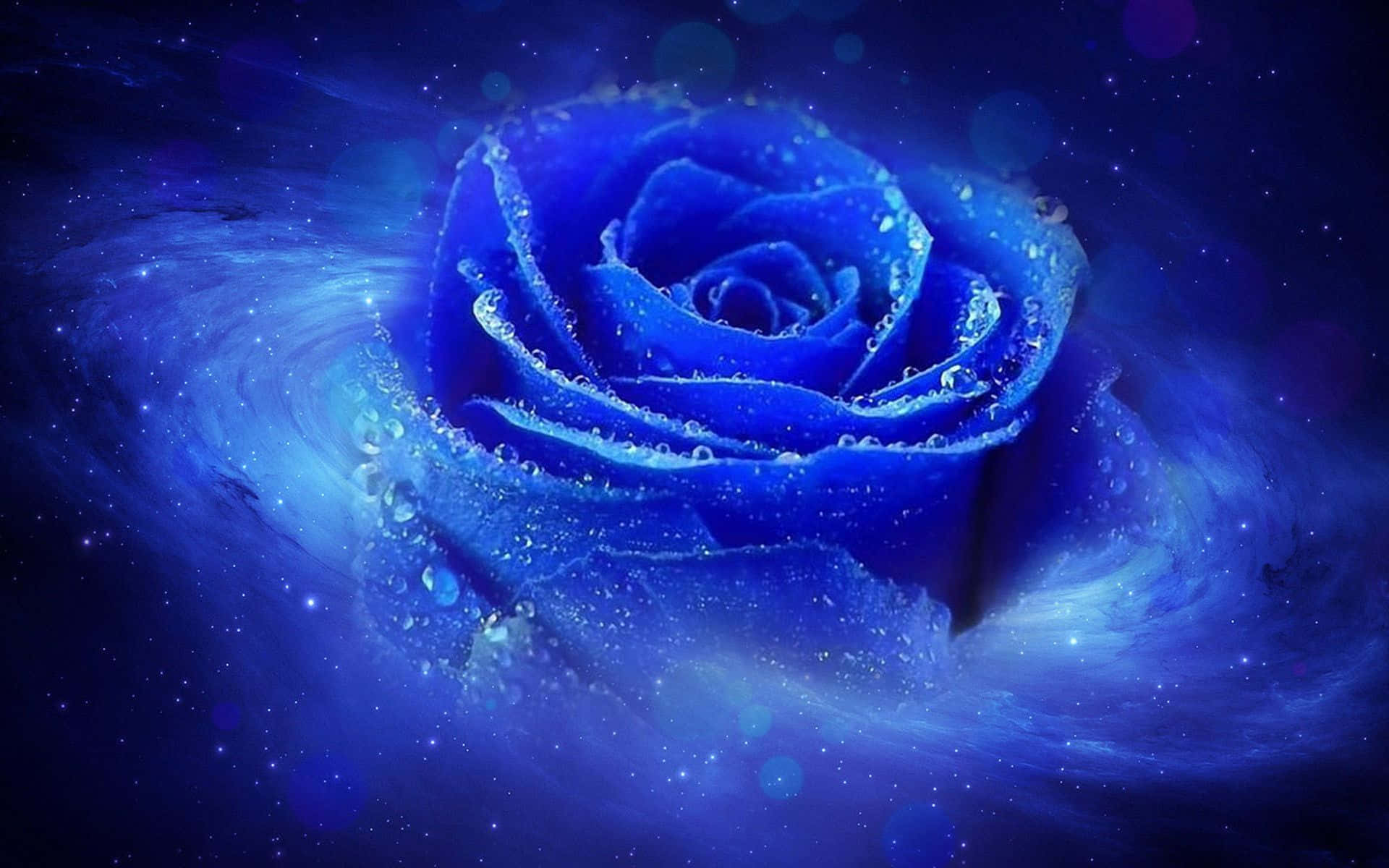 An Ethereal Blue Rose Background