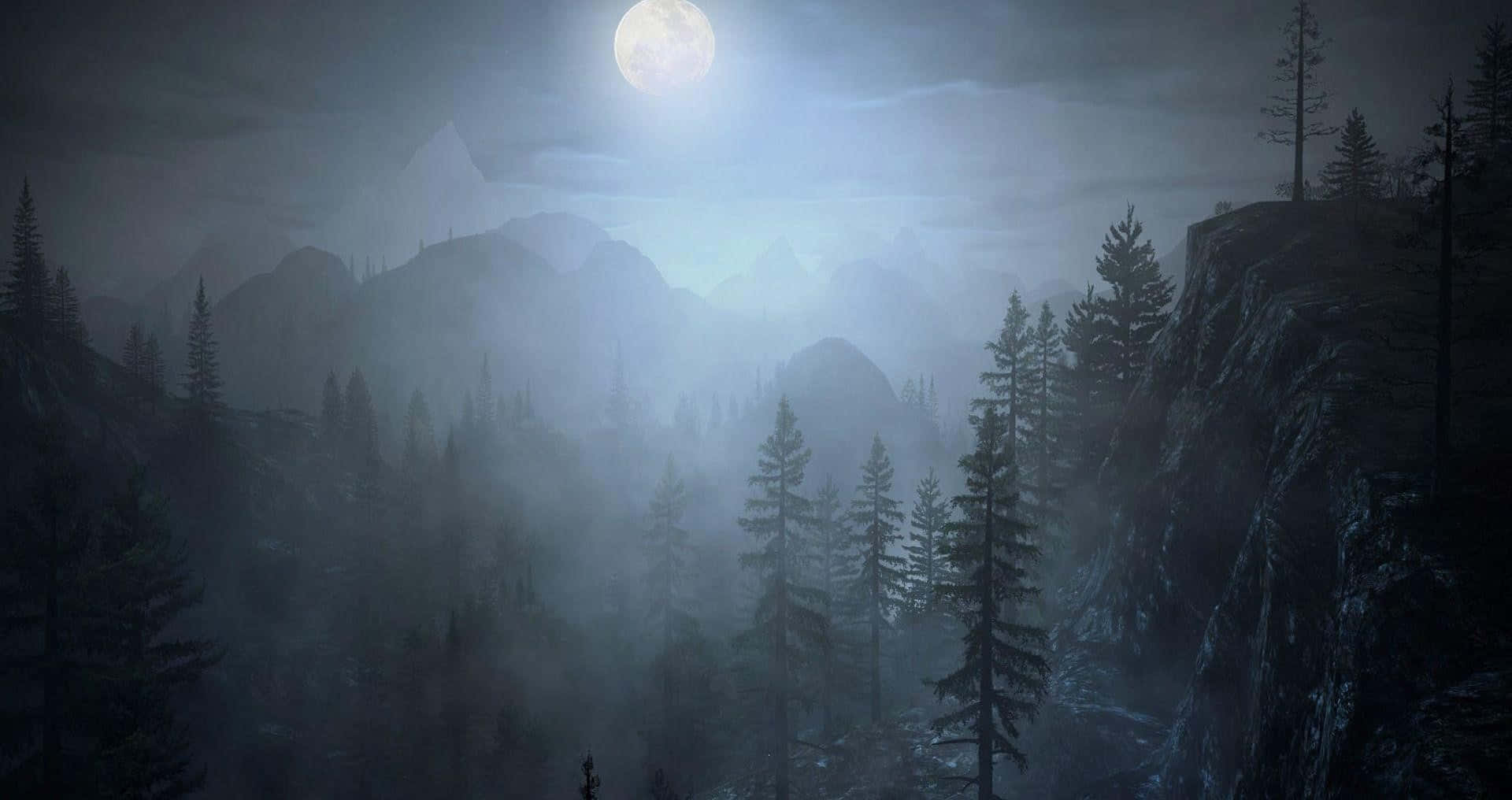 An Ethereal Look At A Night Forest Background
