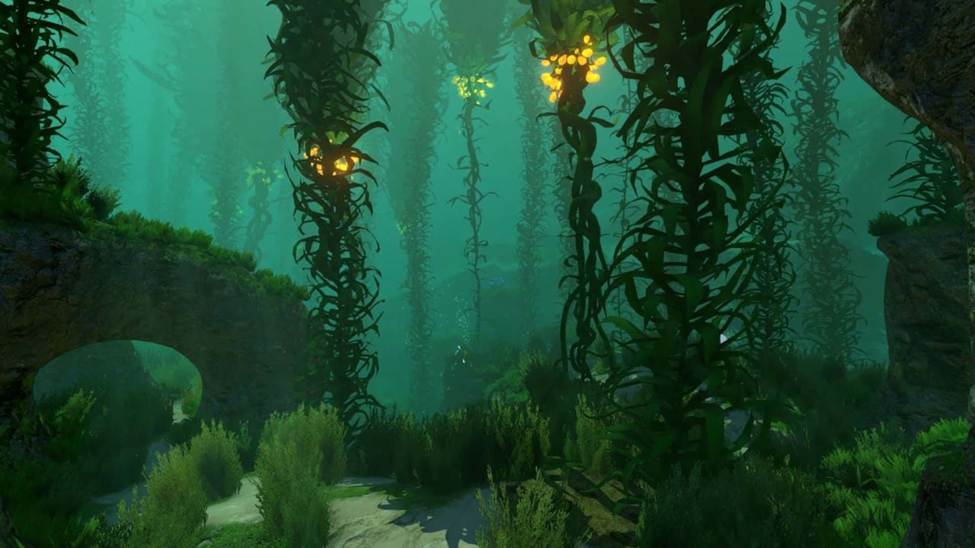An Exciting Adventure Awaits Beneath The Oceans Of Subnautica 4k Background