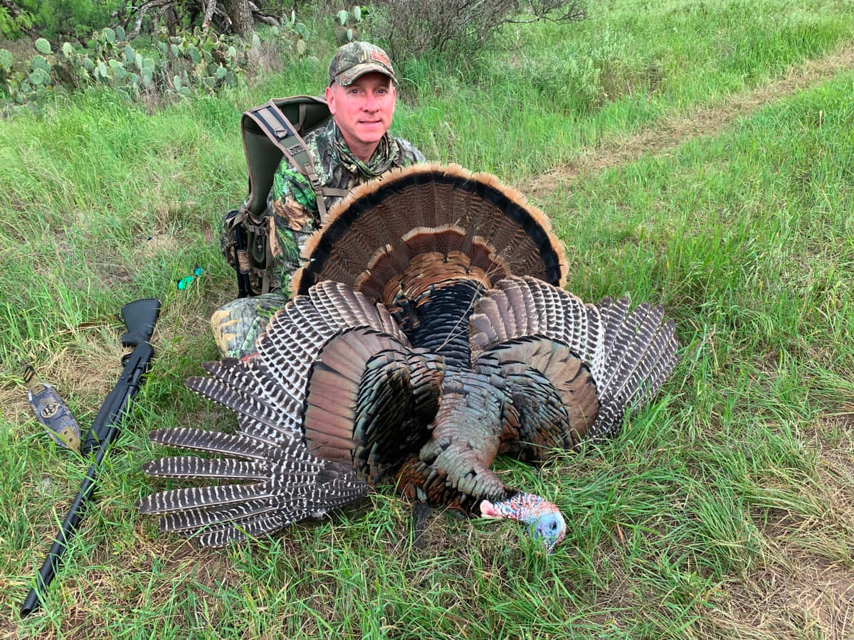 An Exciting Day Of Turkey Hunting Background