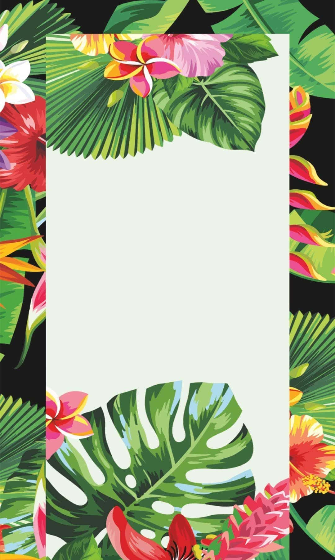 An Exotic Tropical Paradise Is An Aesthetic For Any Summer Adventure