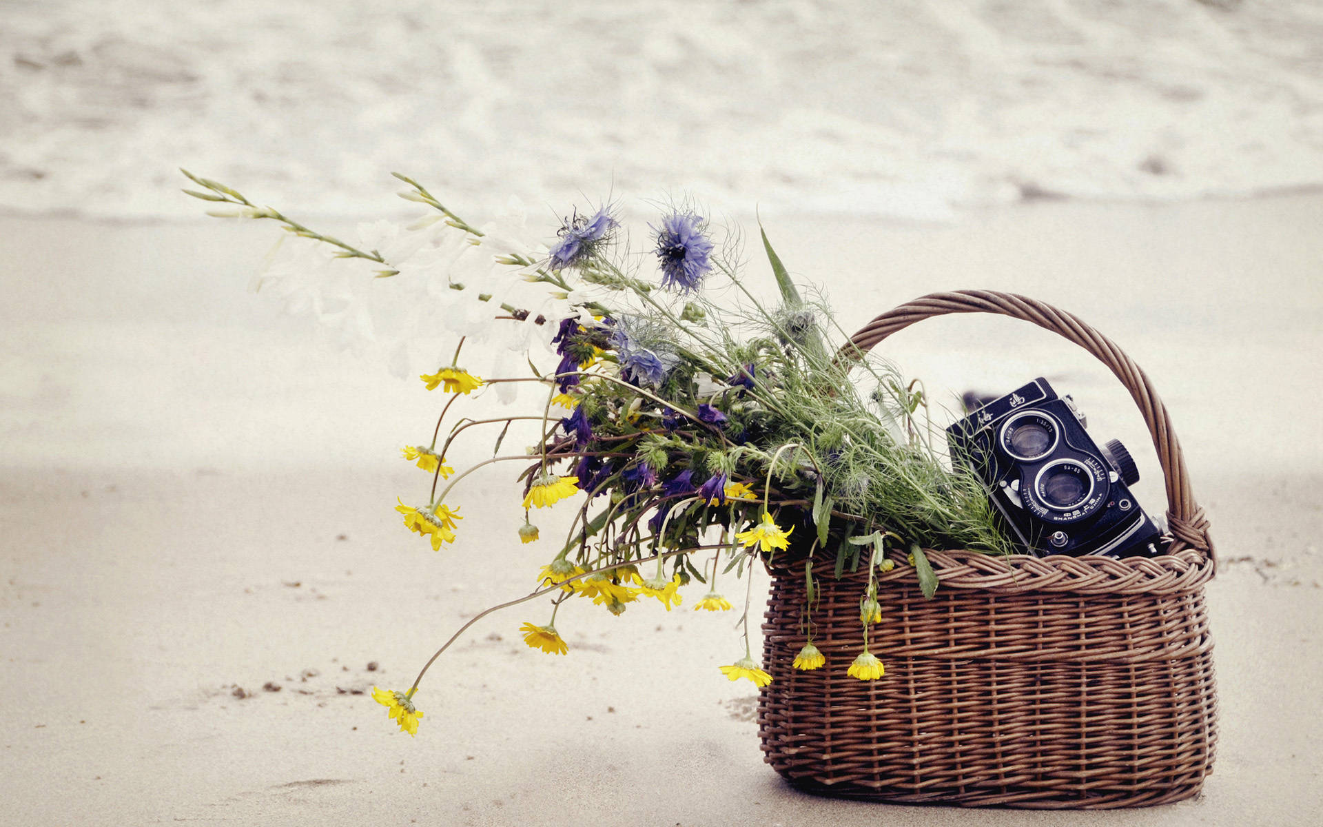 An Hd Camera Resting In Basket Background