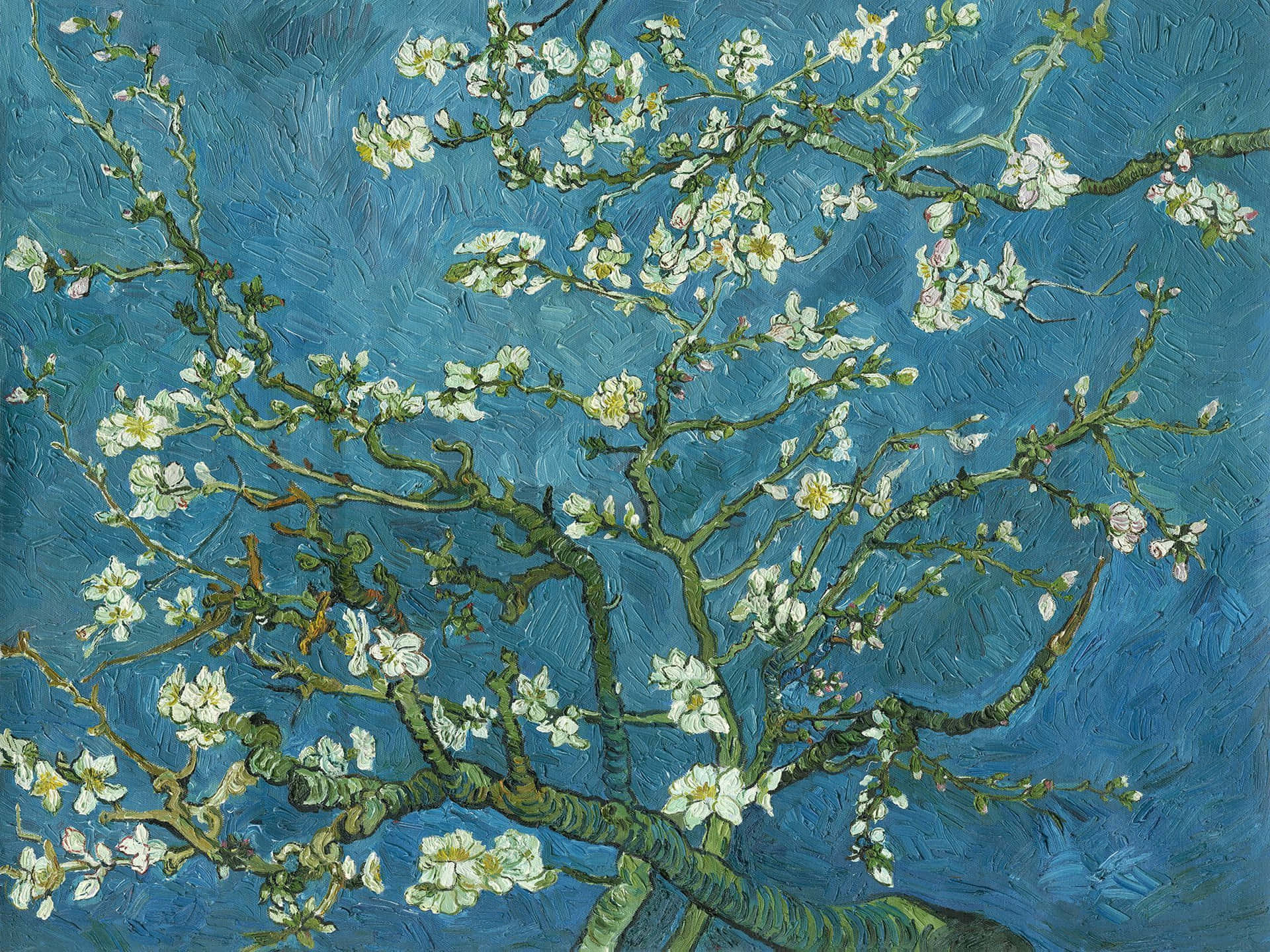An Iconic Painting Of Almond Blossoms By Vincent Van Gogh Background