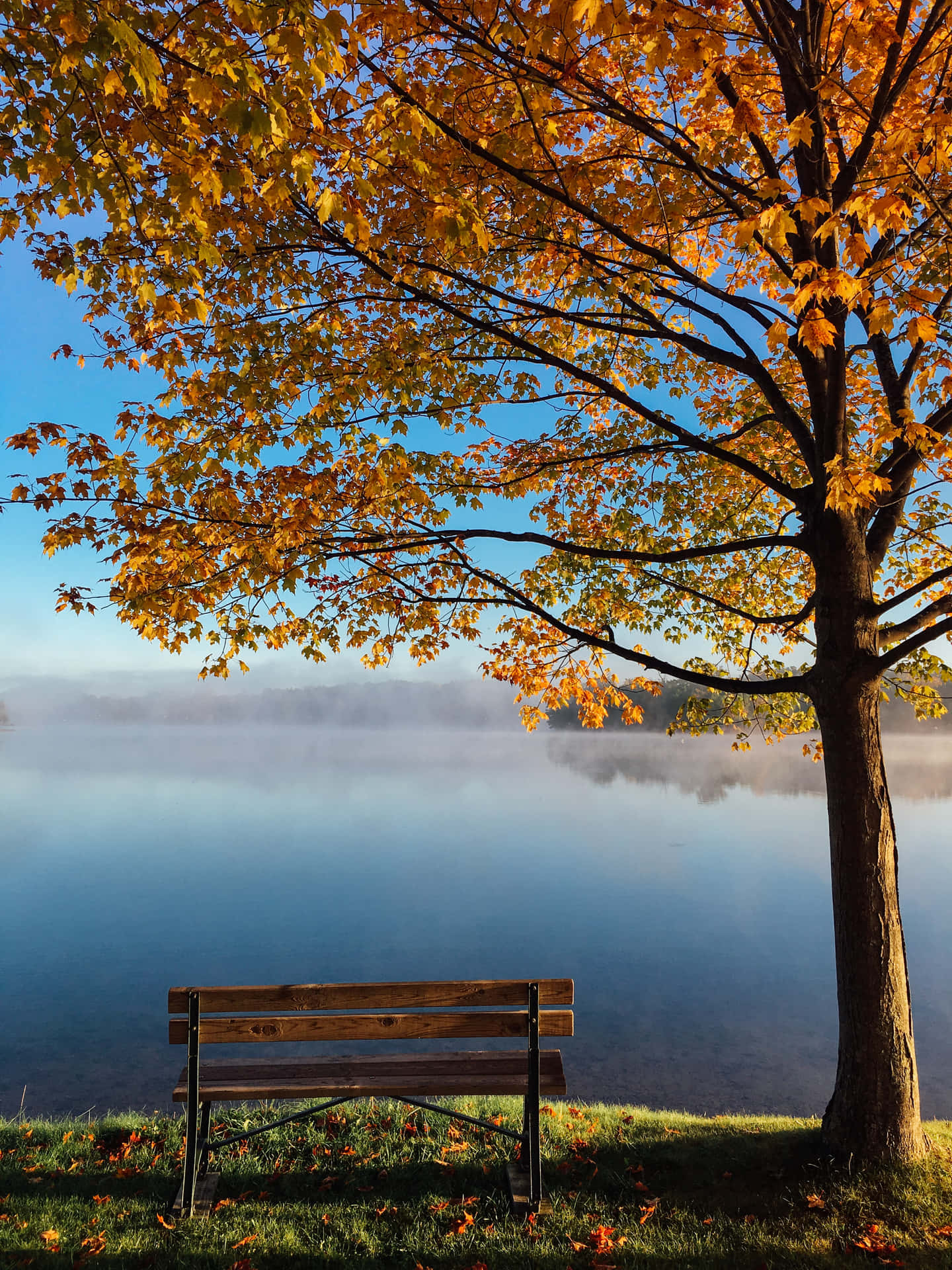 An Idyllic Autumn Landscape With A Bridge