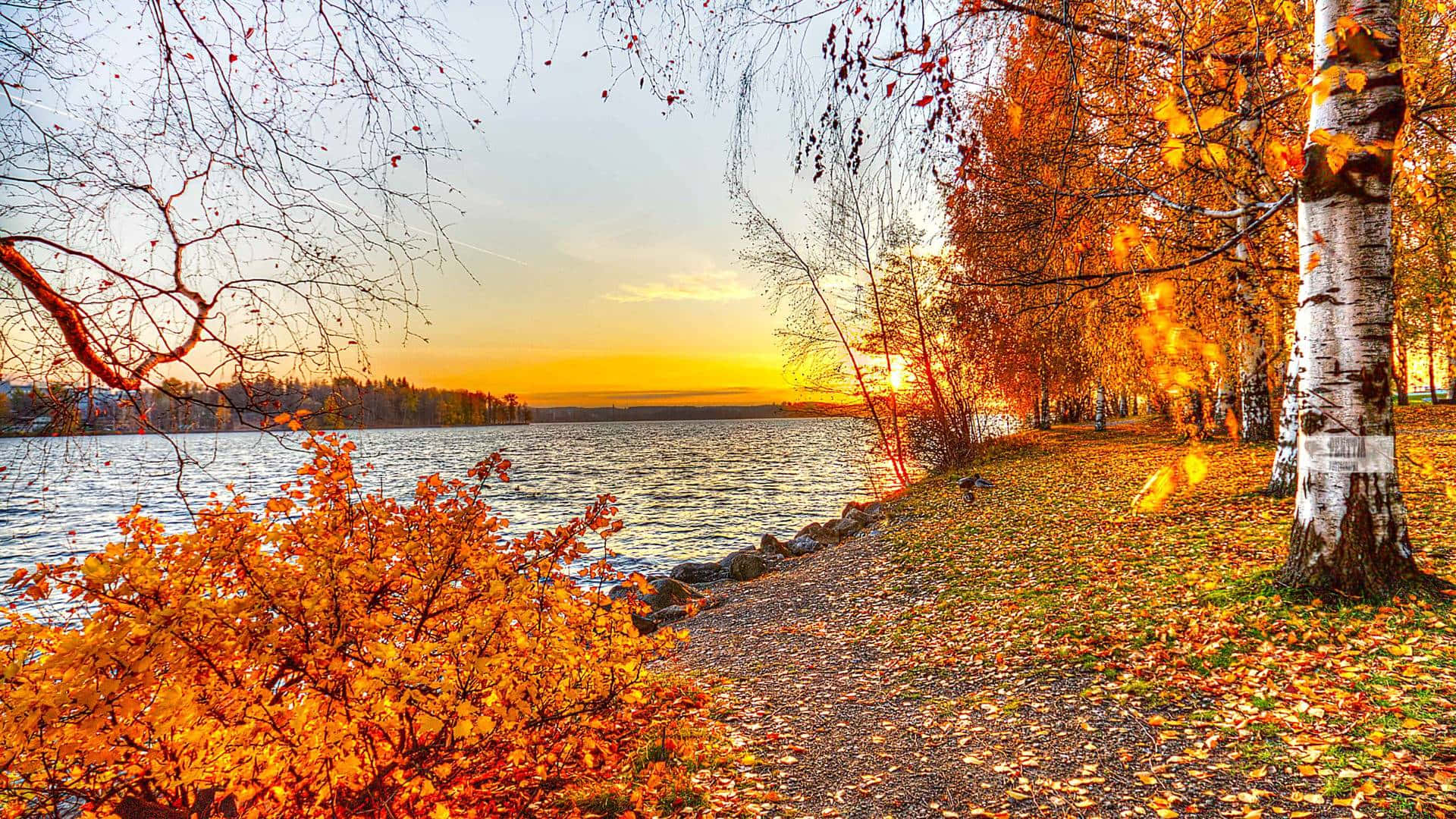 An Idyllic Fall Landscape By The Lake