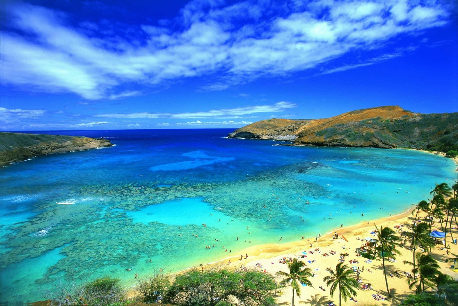 An Idyllic Image Of Jehovah Paradise Background