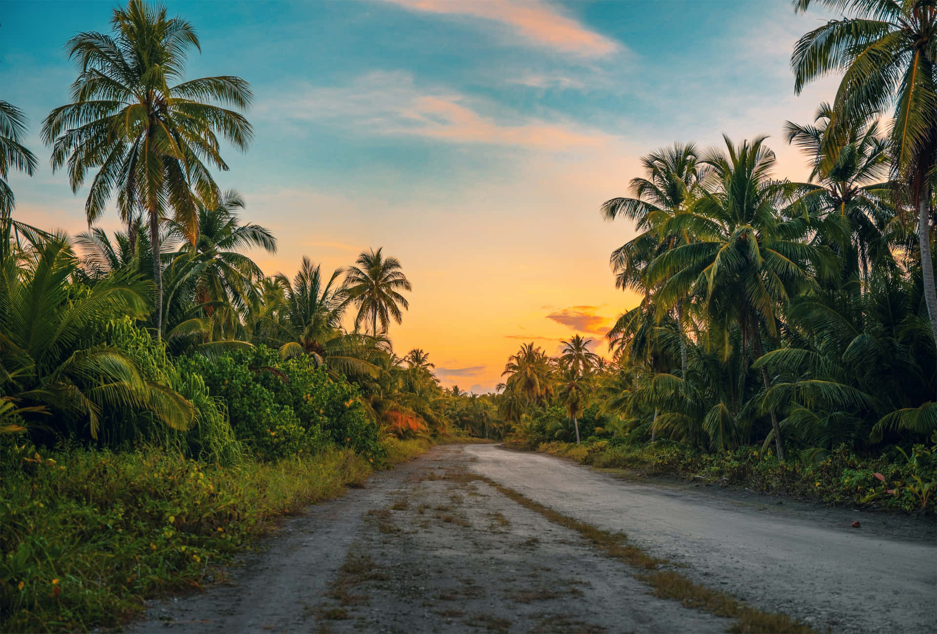 An Idyllic Landscape Featuring Palm Trees And A Peaceful Beach