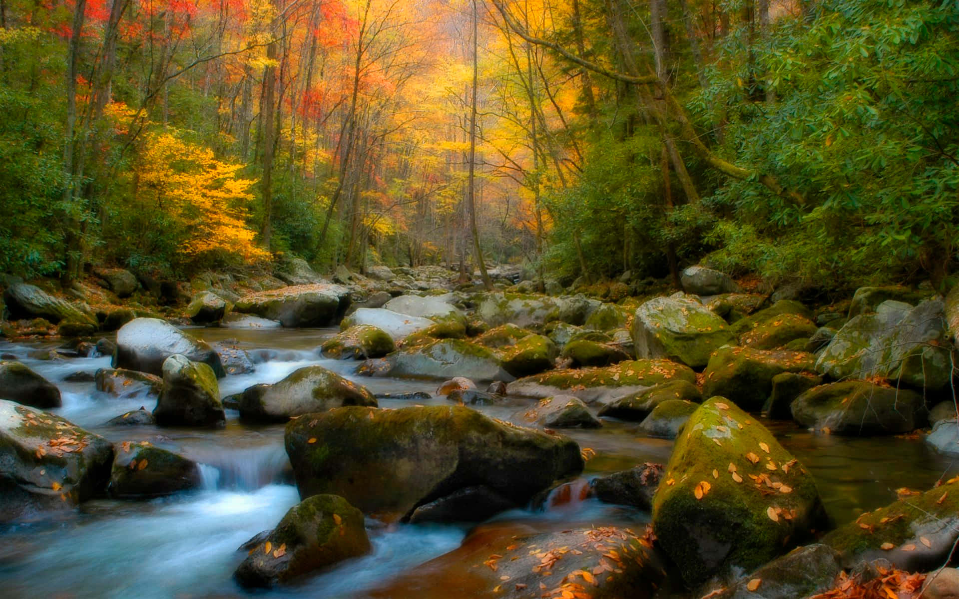 An Idyllic Nature Scene At Dawn. Background