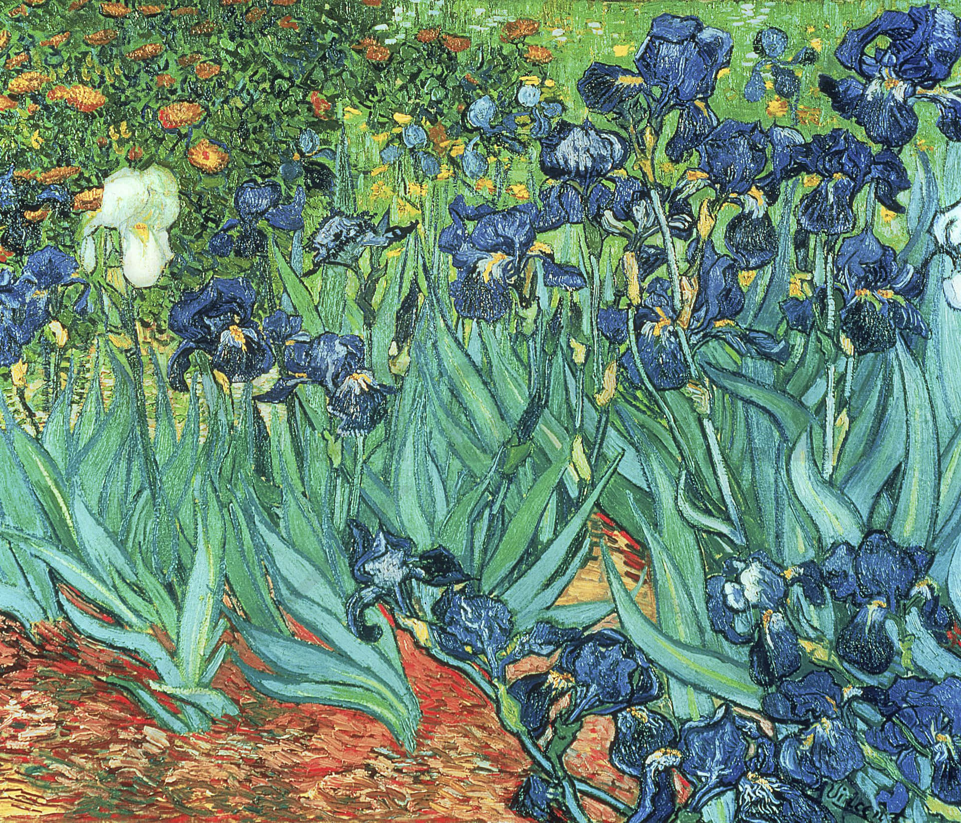 An Idyllic Van Gogh Painting Of A Tranquil Field In Bloom Background