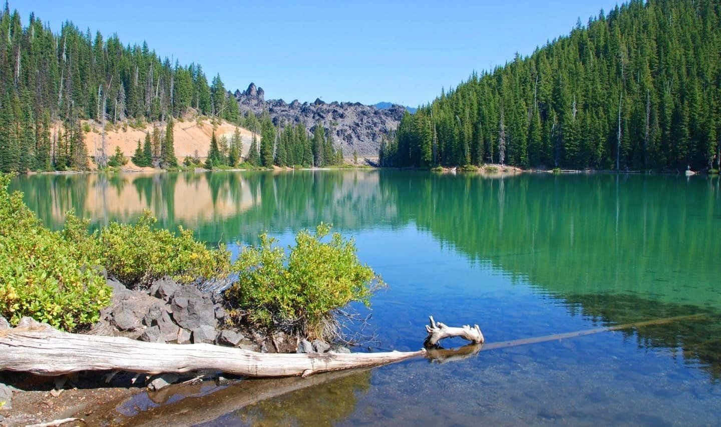 An Idyllic Vista Of Crystal Clear Waters In A Tranquil Setting Background