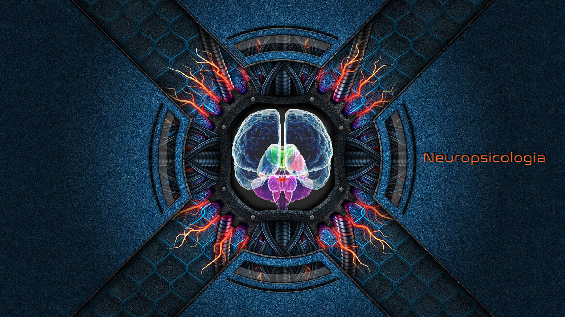 An Illustration Of A Color-coded Cerebral Cortex Background