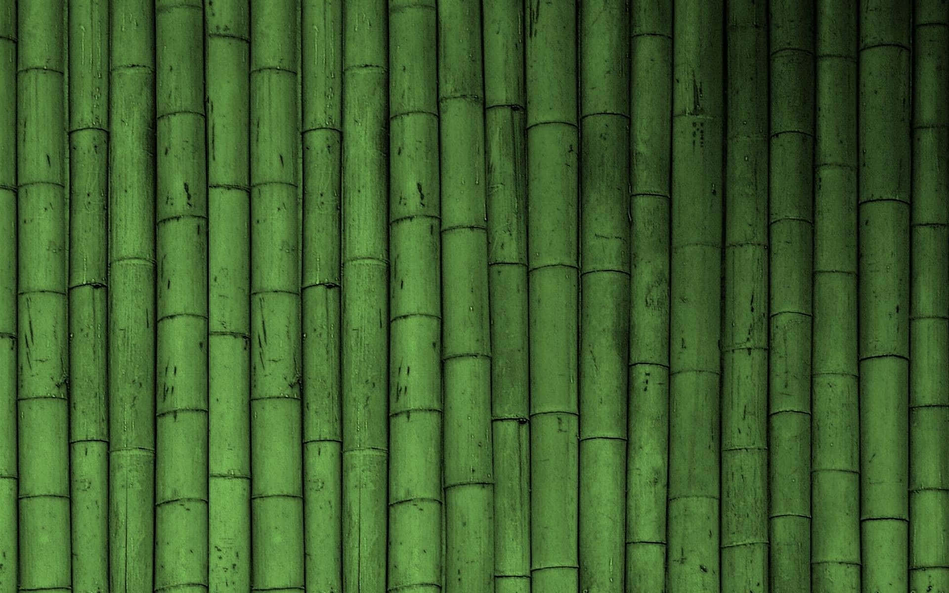 An Image Of A Tranquil Green Bamboo Forest Background