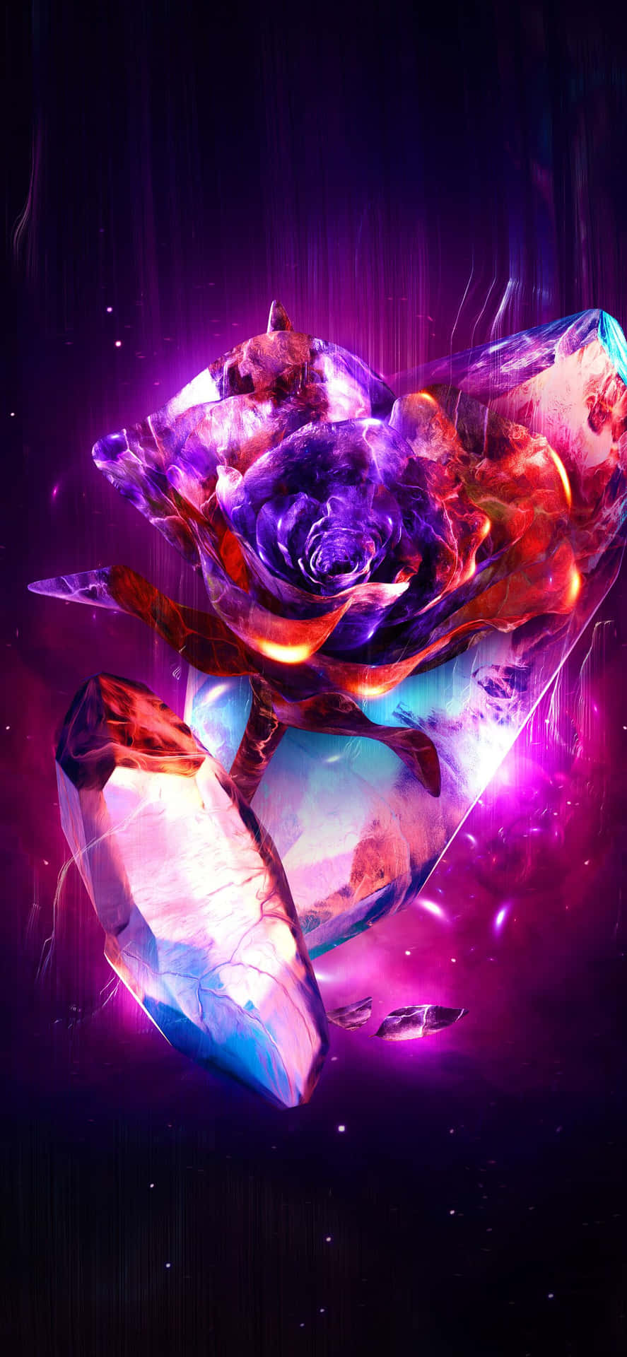 An Incredible View Of A Cool Rose Background