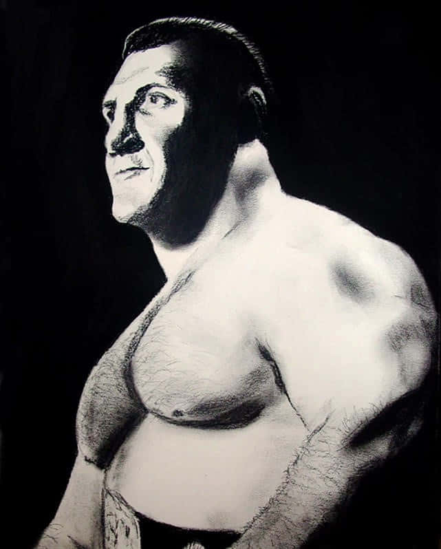 An Inspiring Illustration Of Wrestling Legend Bruno Sammartino