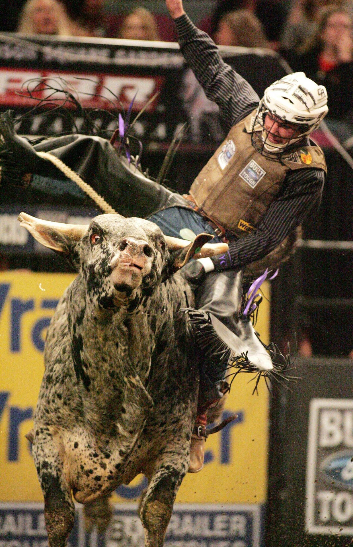 An Intense Bull Riding Competition Background