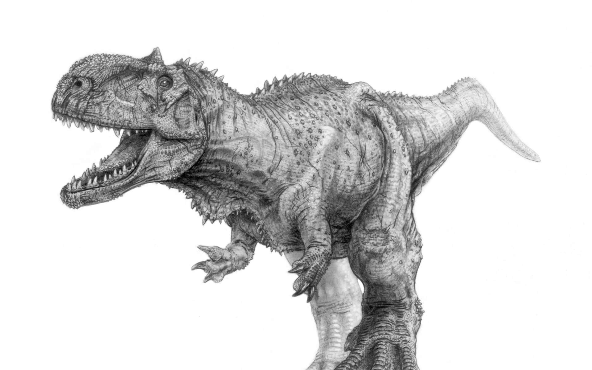 An Intimidating Black Dinosaur Stares You Down Background