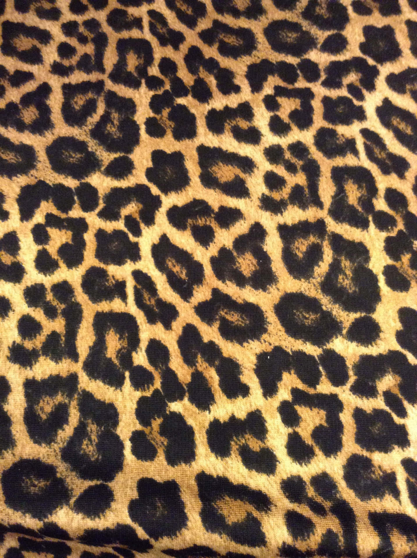 An Intriguing Leopard Pattern Wallpaper. Background