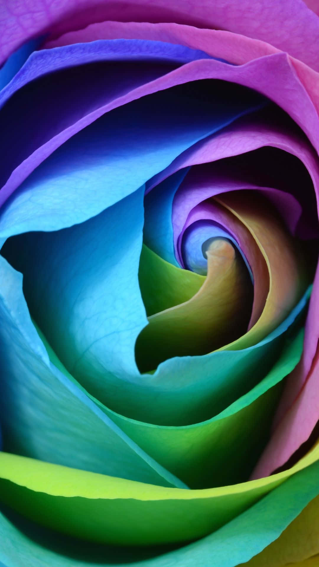 An Iphone With A Burst Of Rainbow Colors Background