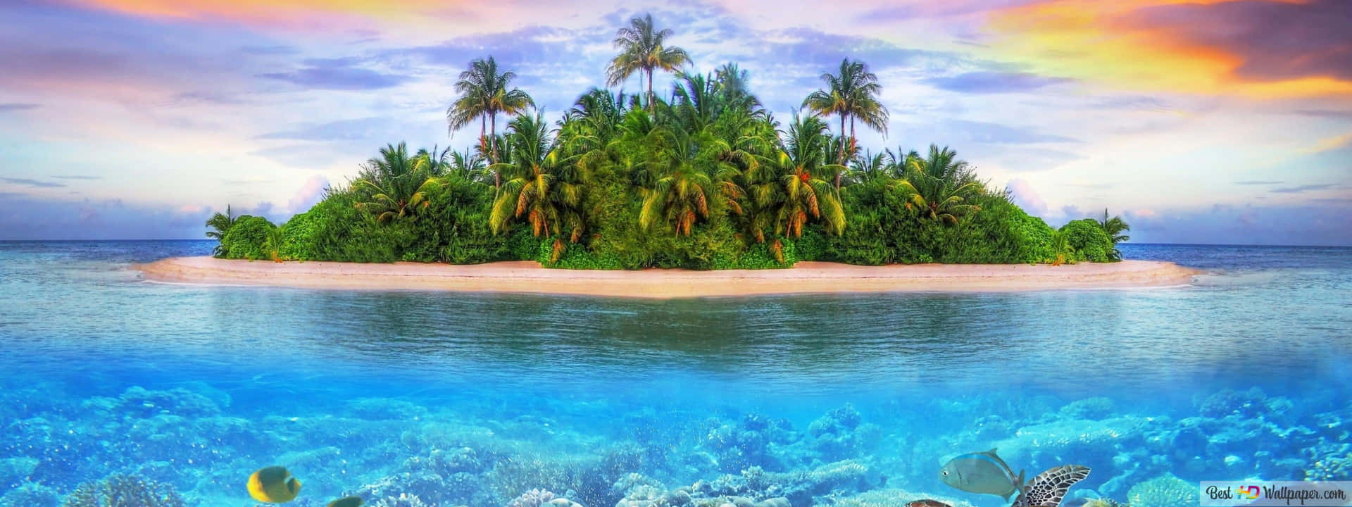 An Island With Palm Trees And Corals In The Ocean
