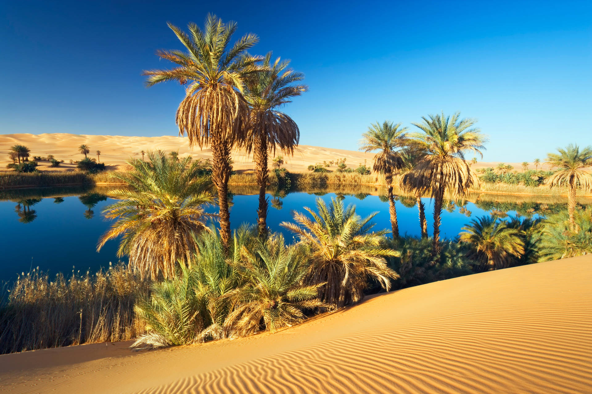 An Oasis In Mauritania Background