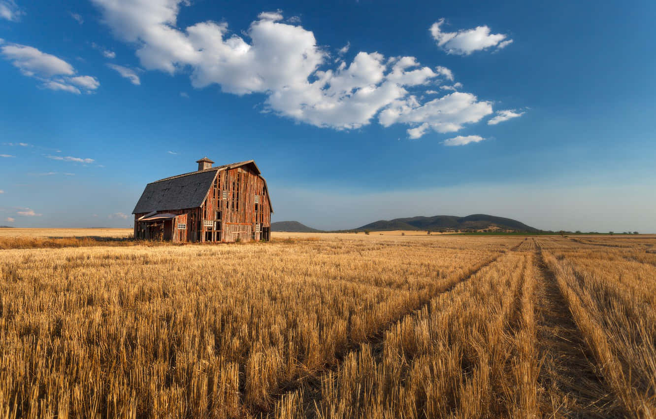An Old Barn In A Field