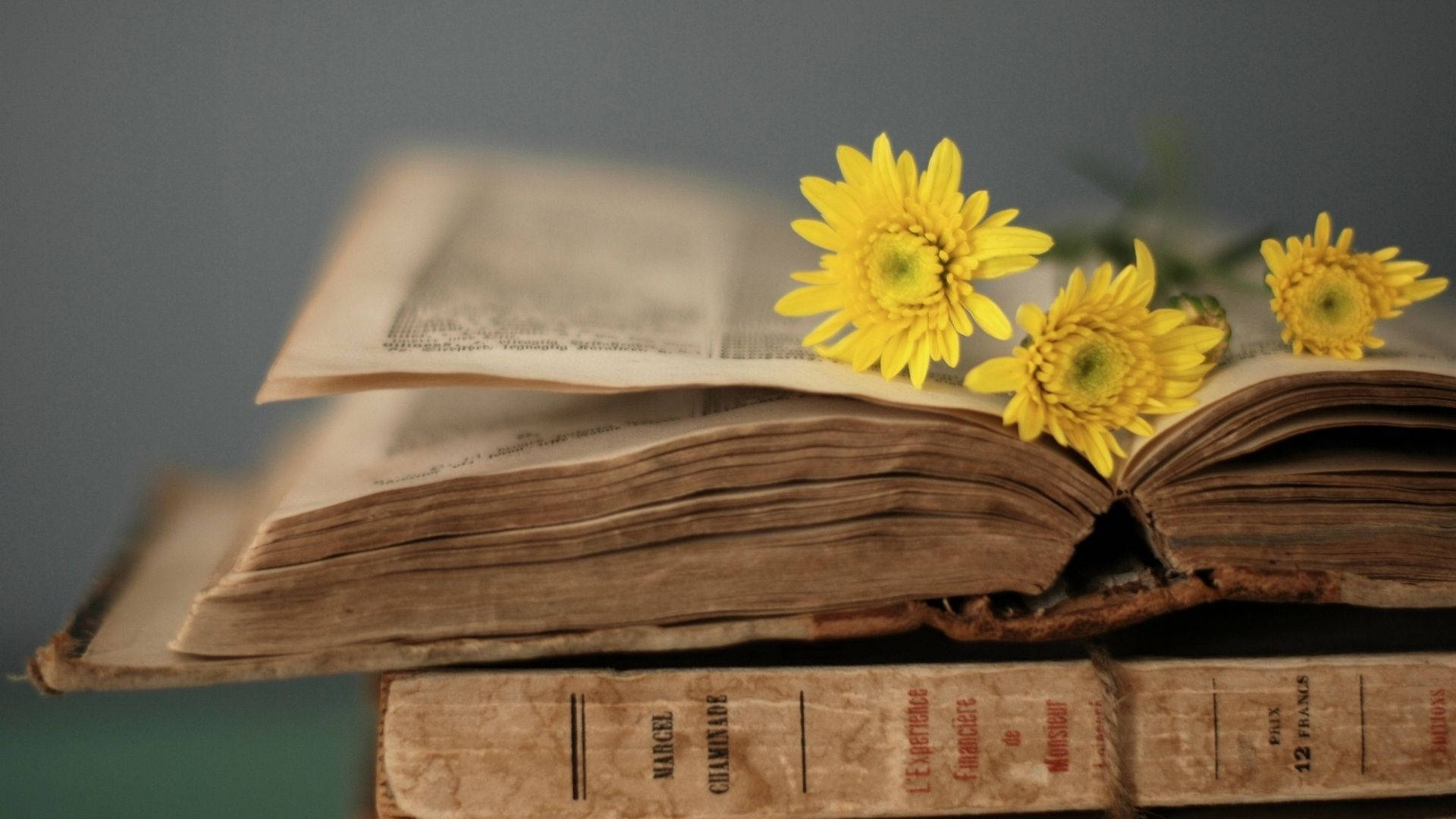 An Old Book With Yellow Flowers On Top Background