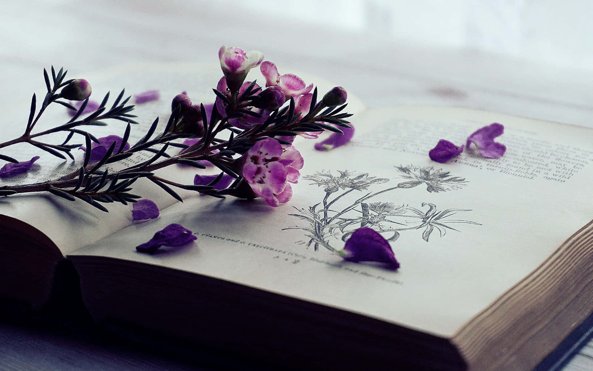 An Open Book With Flowers On It Background