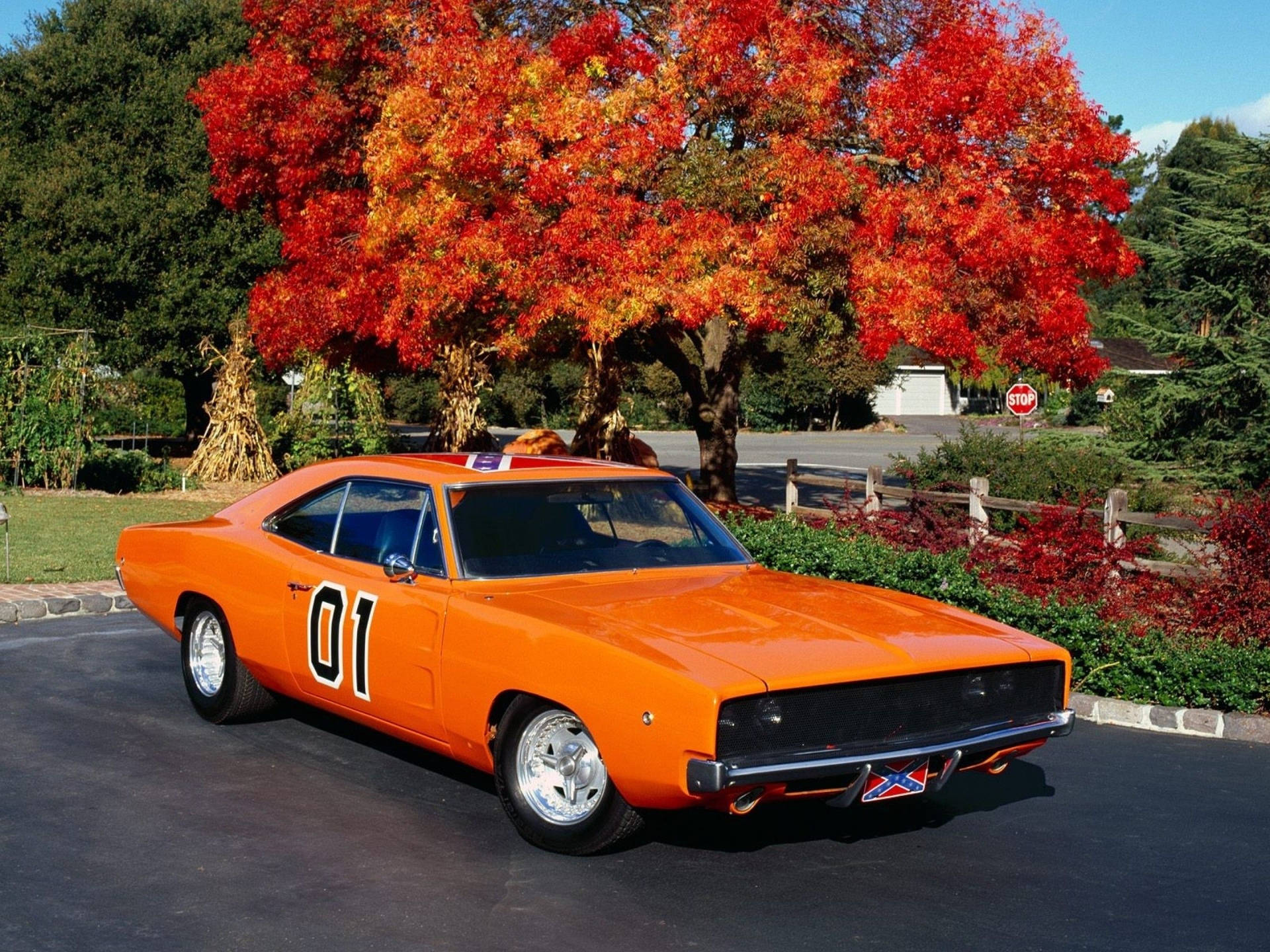 An Orange Dodge Charger Parked In Front Of A Tree Background