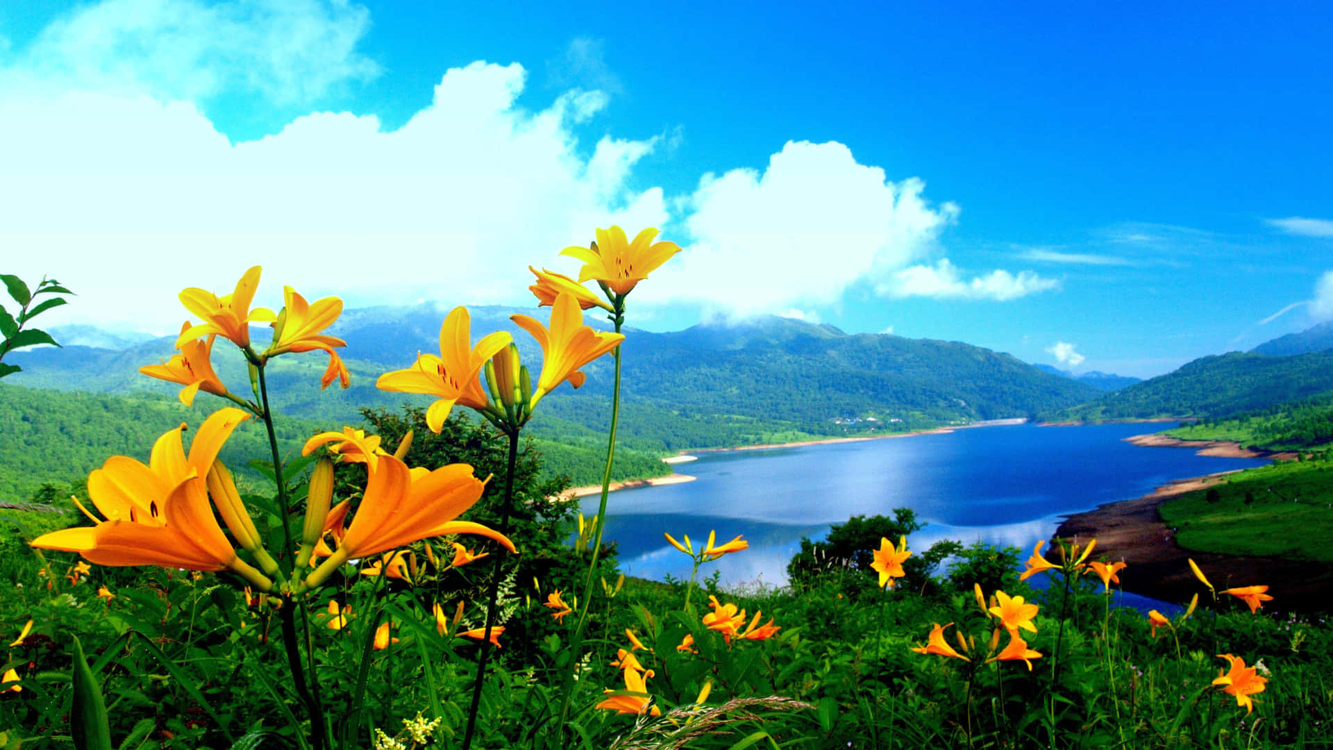 An Overview Of Nature's Majestic Beauty Background