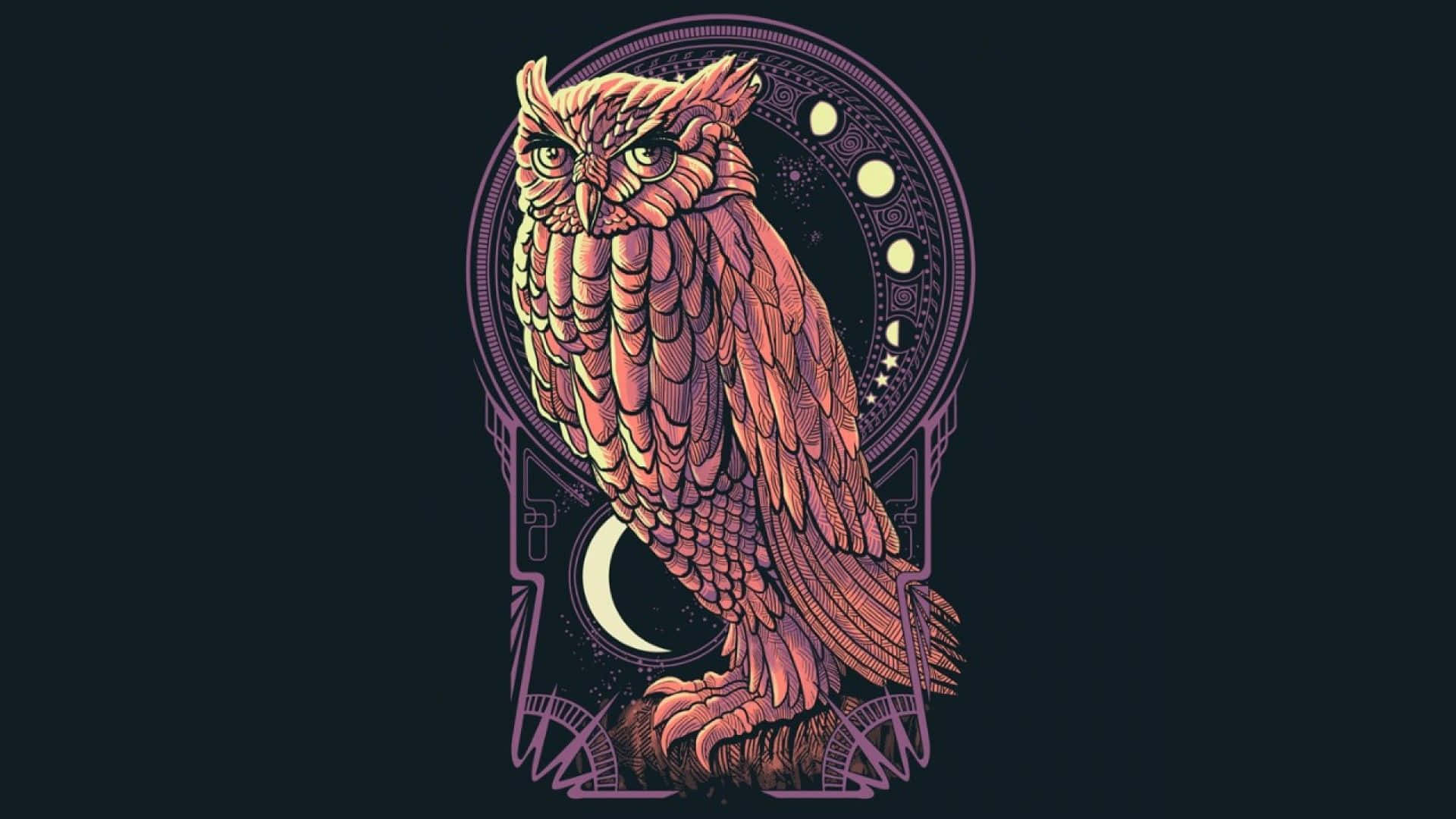 An Owl Sitting On A Dark Background Background