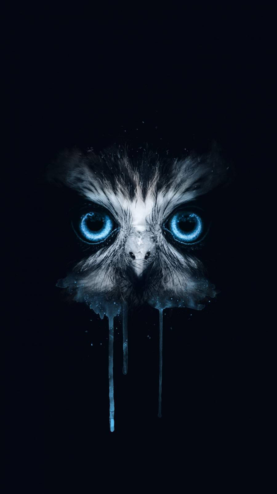 An Owl With Blue Eyes On A Black Background Background