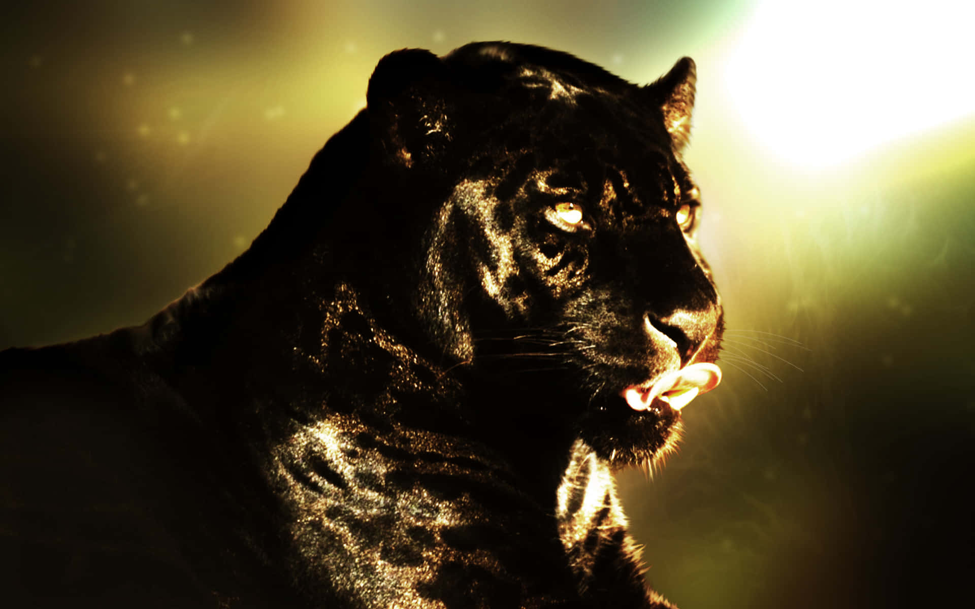 An Unbelievable Sight - A Cool Black Panther Animal Background