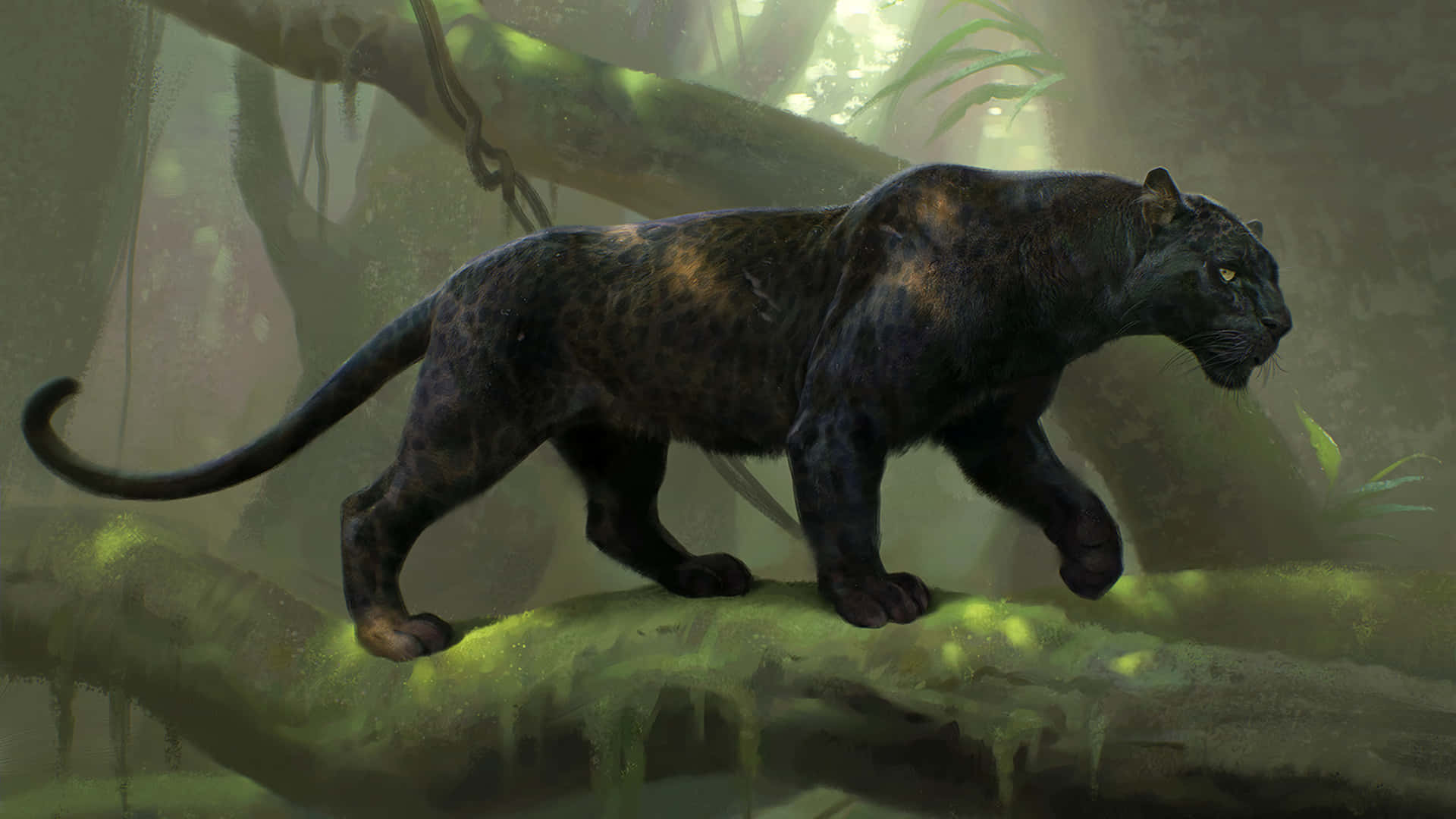 An Up-close Look At A Majestic Cool Black Panther Background