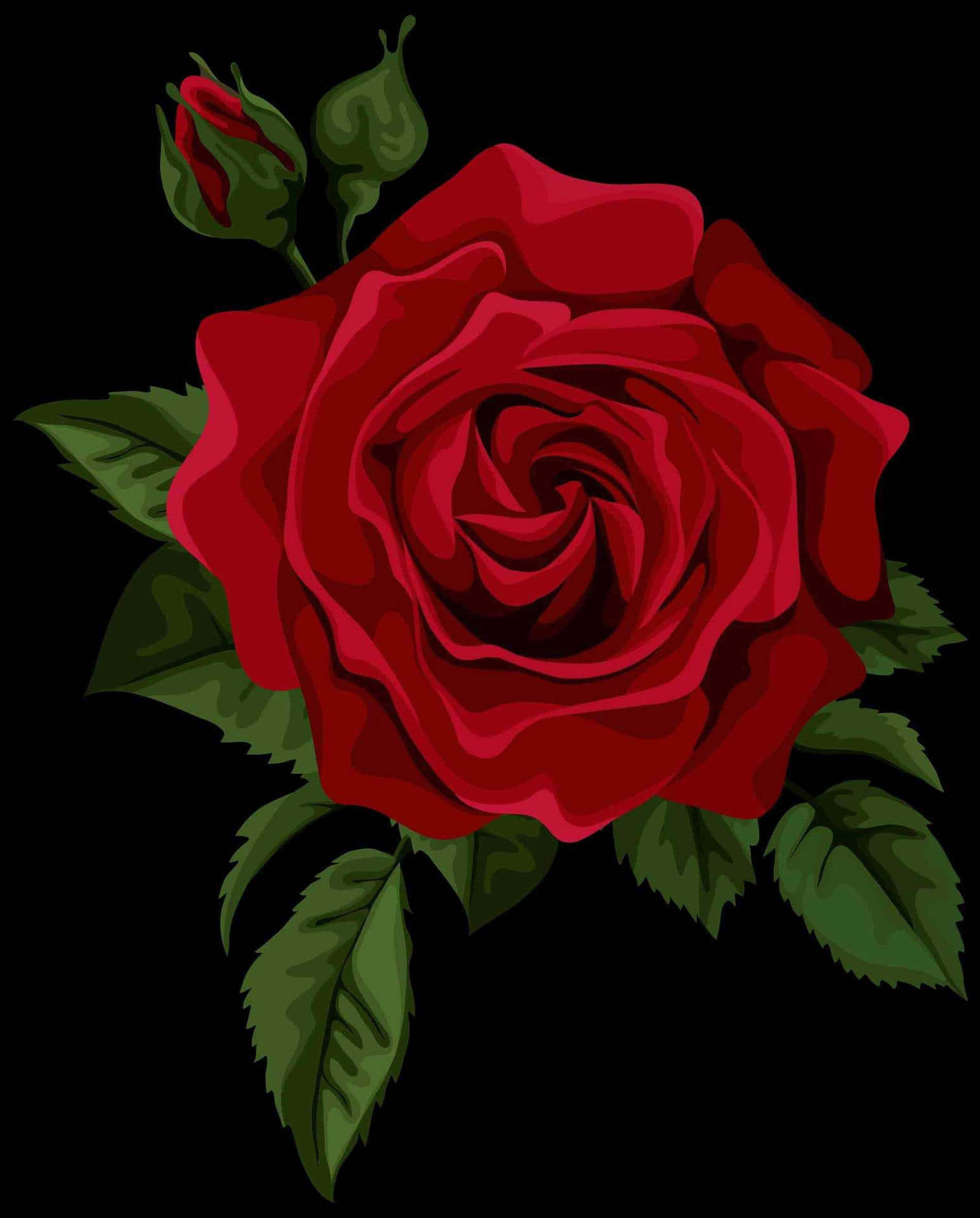 An Up-close View Of A Vibrant Red Rose Background