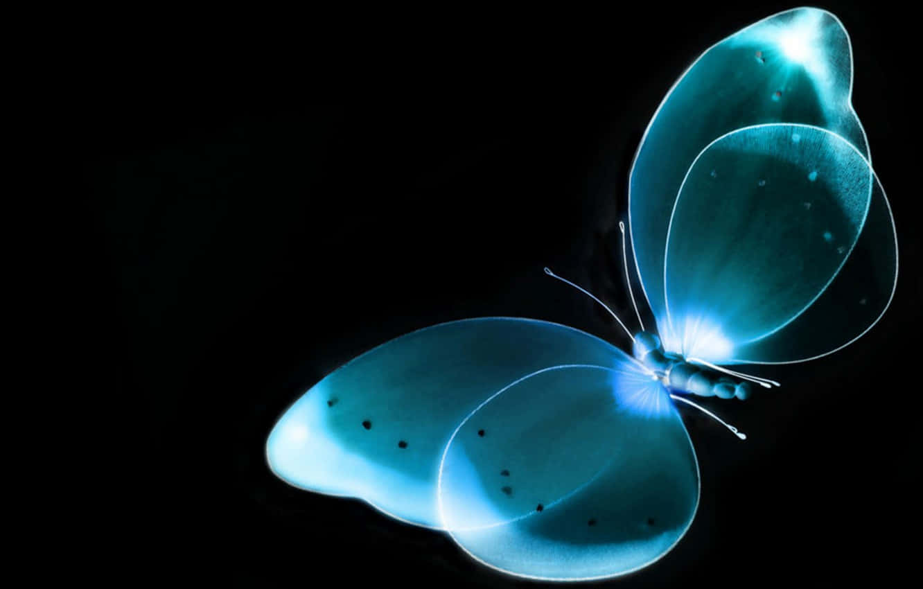 An X-ray Of A Human Arm