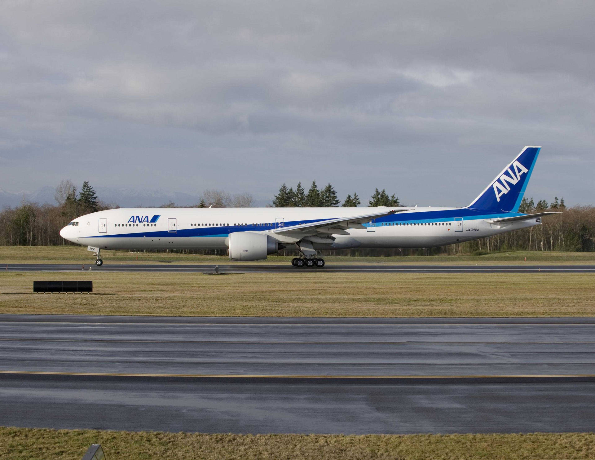 Ana Aircraft On Runway Background