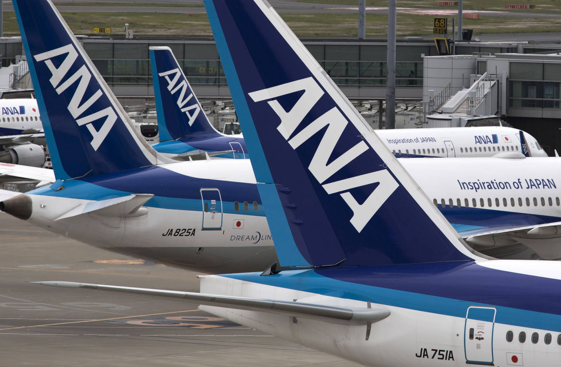 Ana Aircraft Tails Background