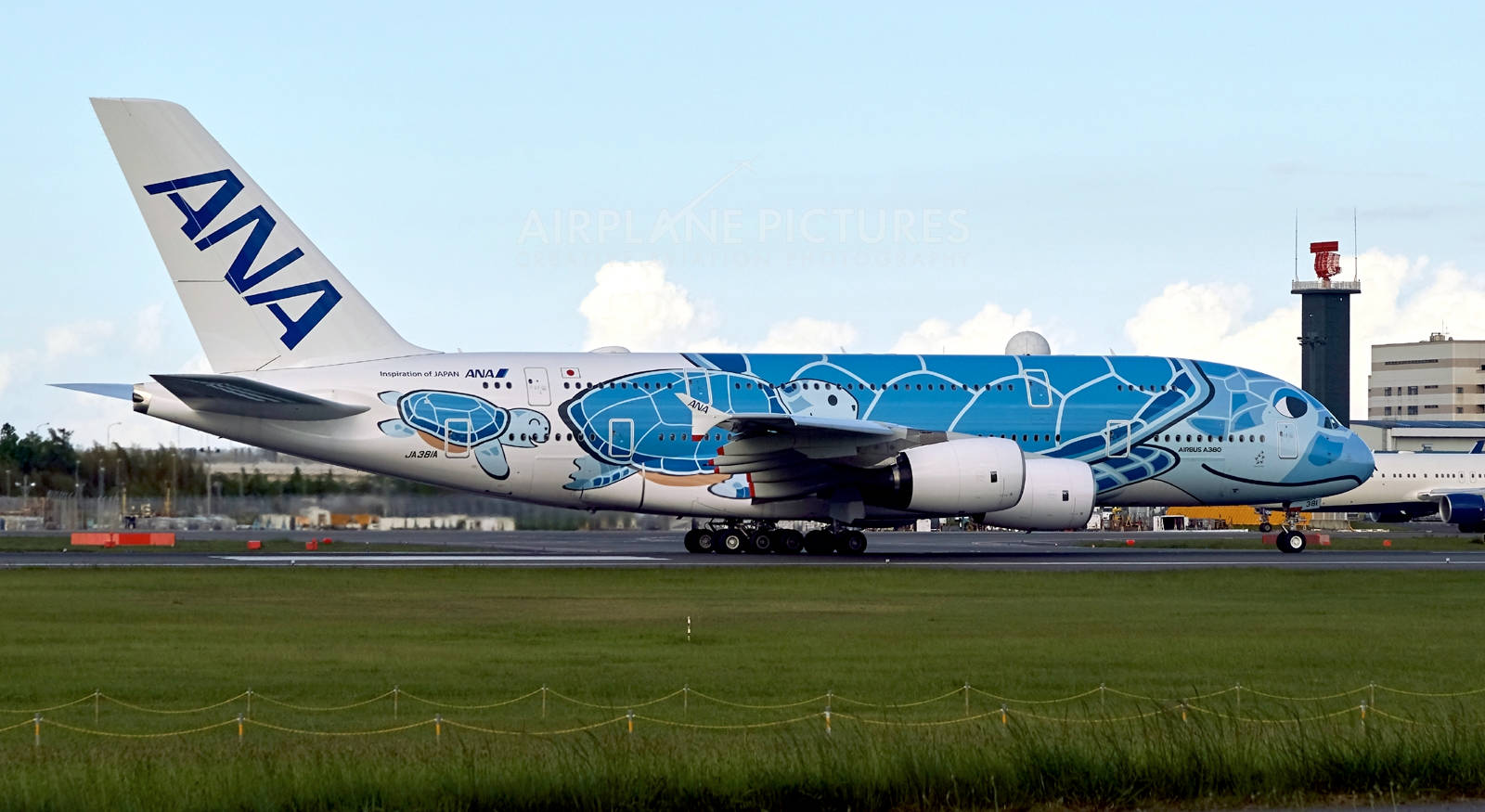 Ana Airlines' Special Turtle-themed Airplane Background