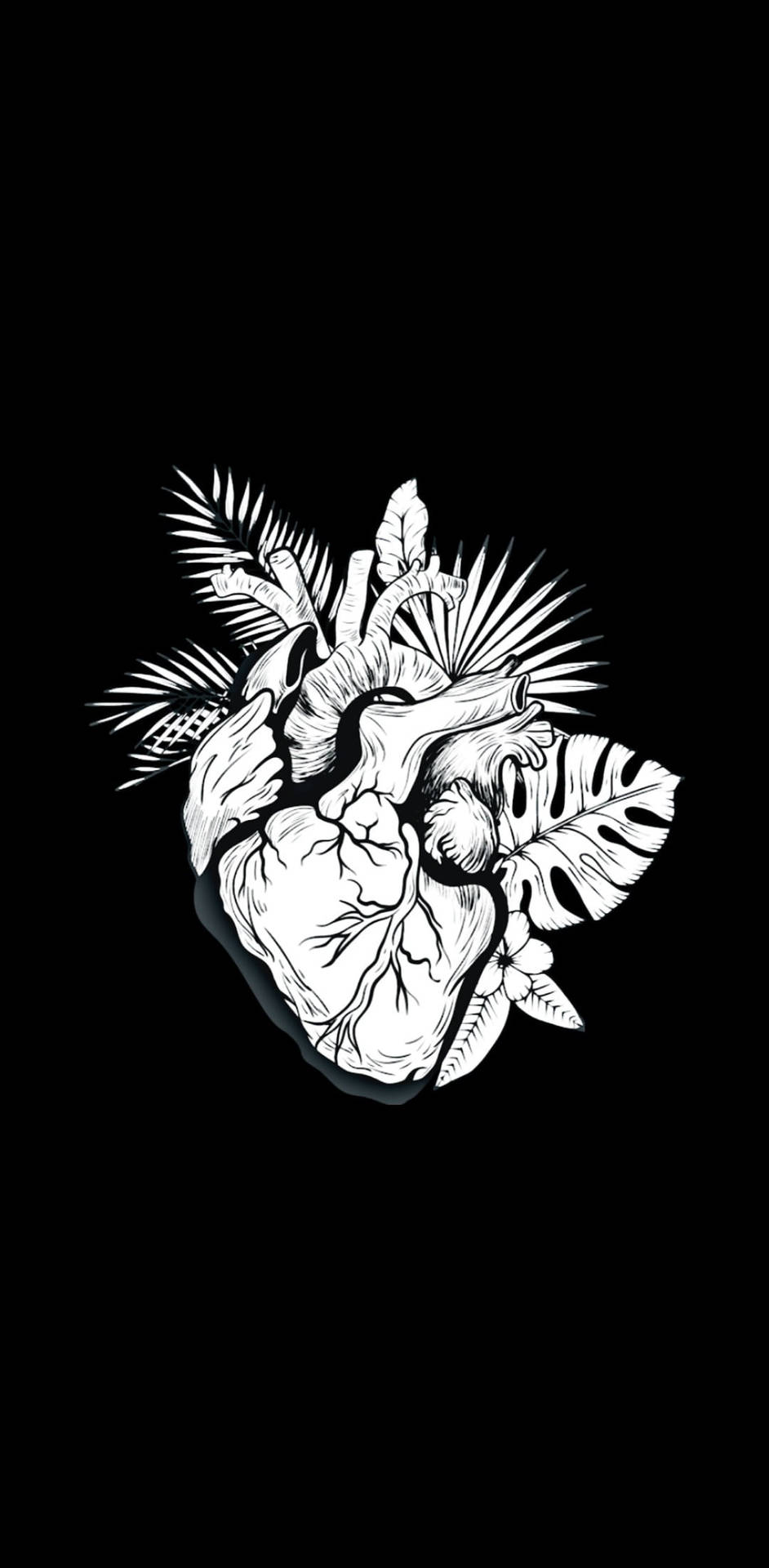 Anatomical Black And White Heart With Plants Background
