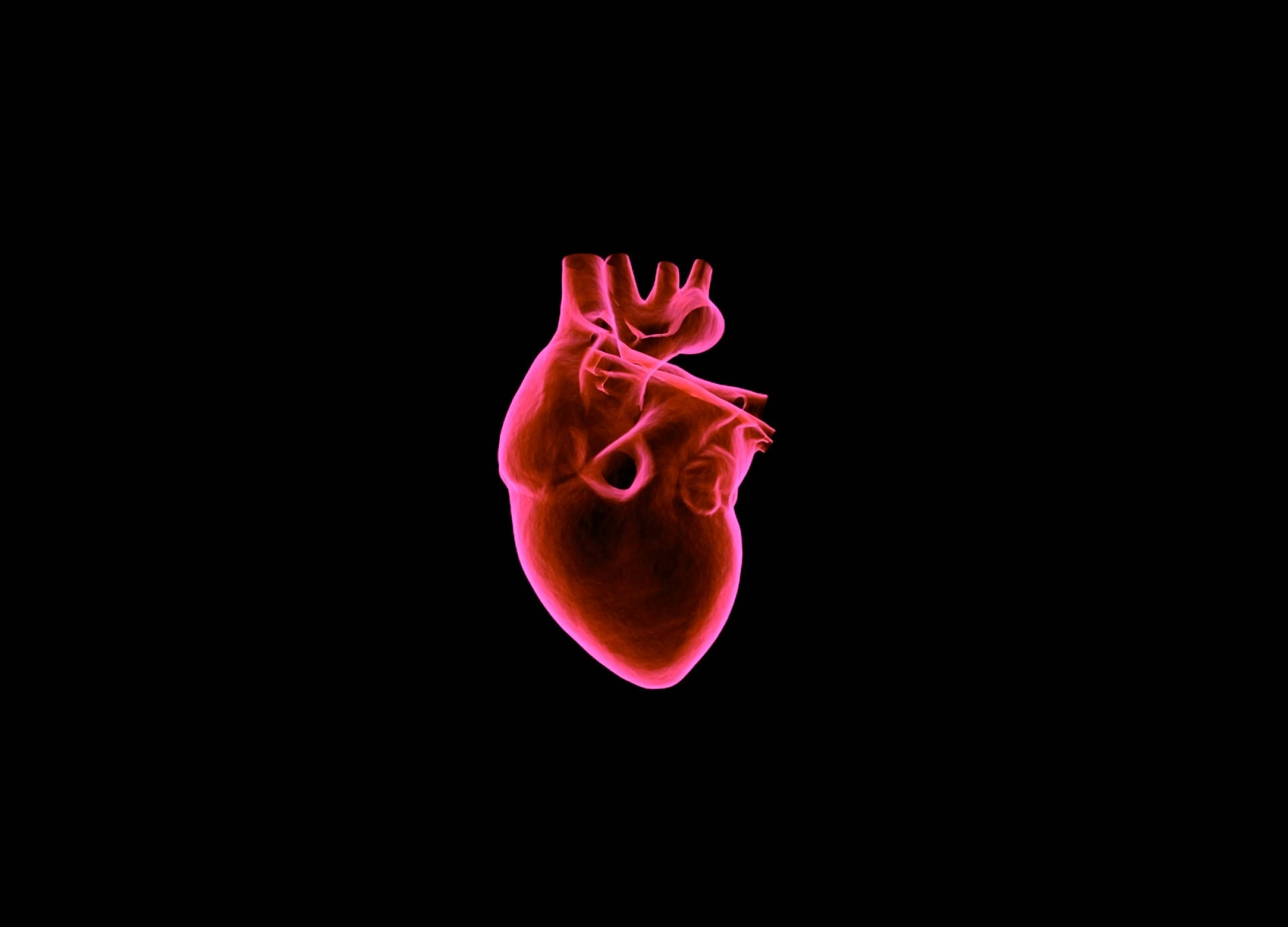Anatomically Correct Dark Heart Art Background