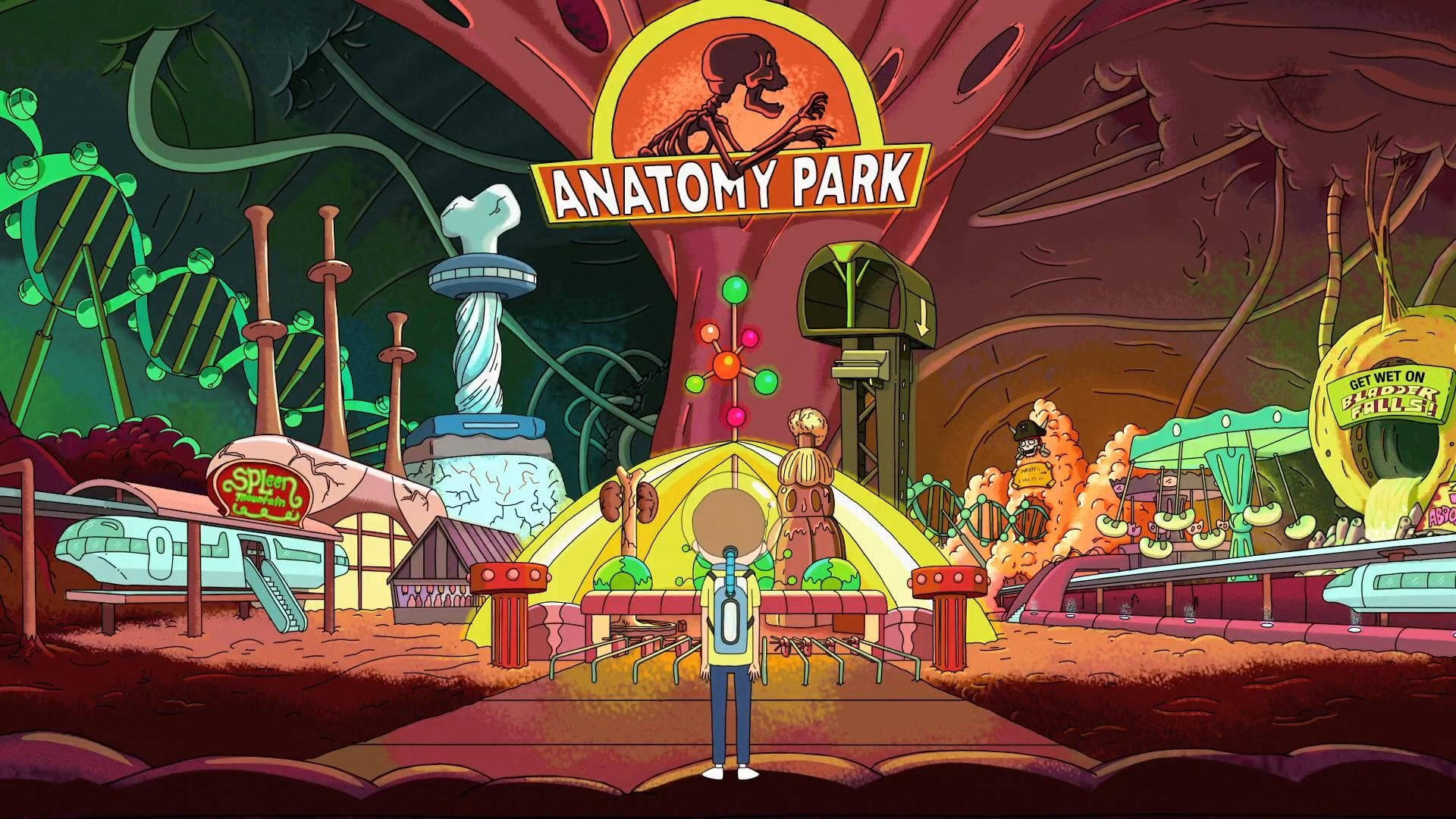 Anatomy Theme Park Background