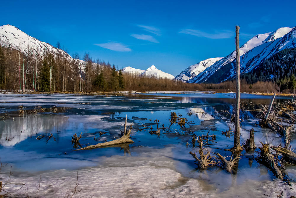 Anchorage's Natural Beauty Background