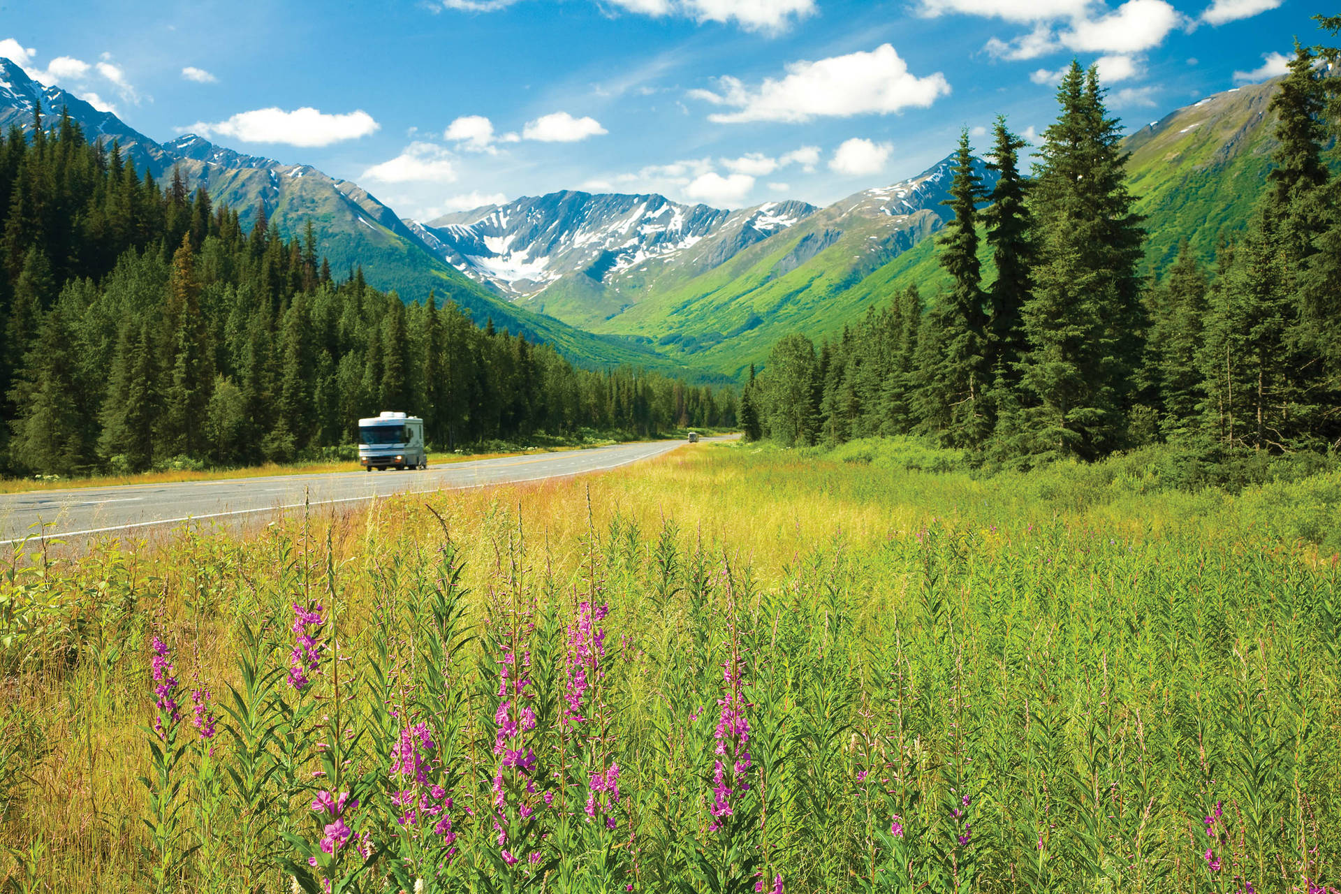 Anchorage's Stunning Nature Background