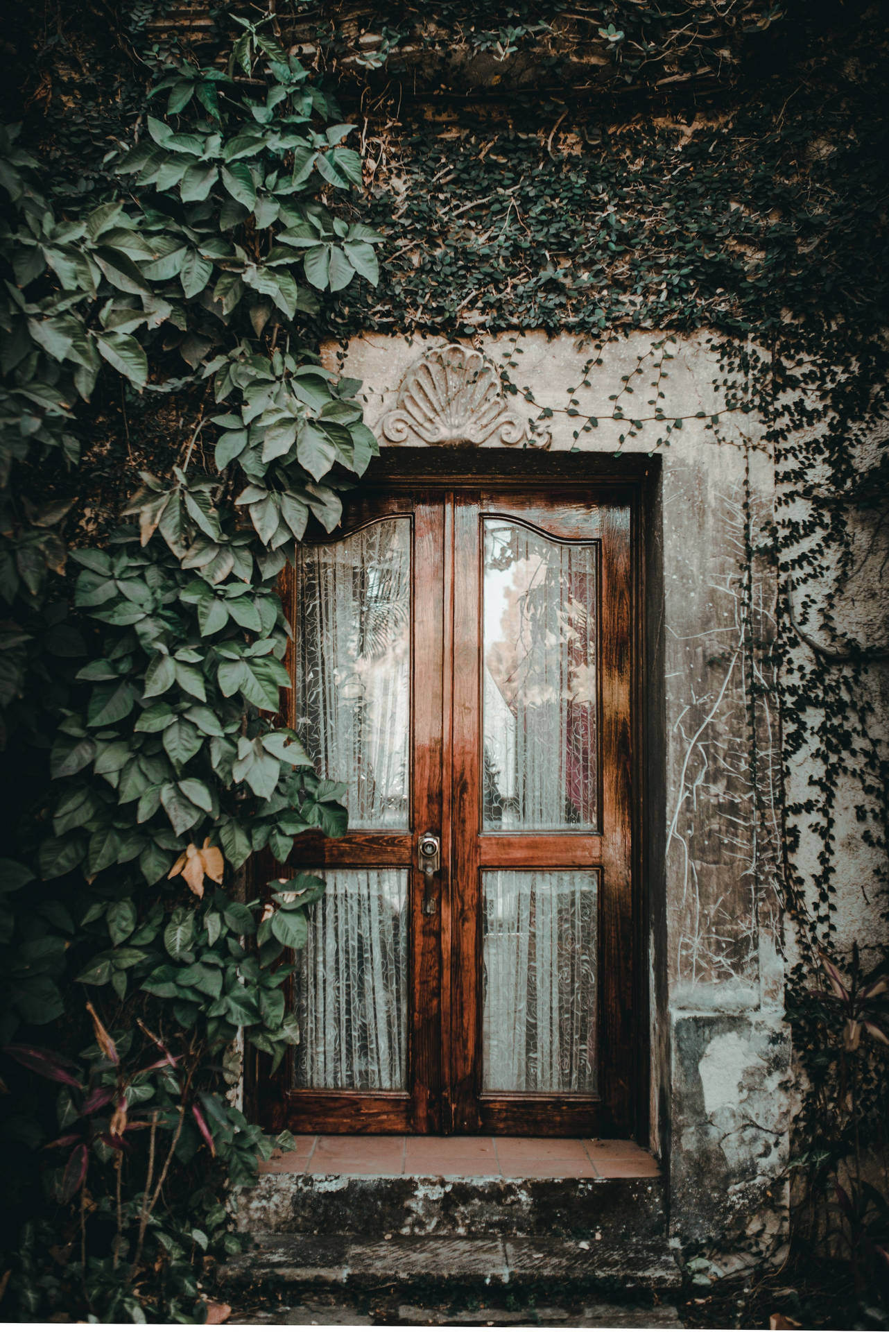 Ancient House Wood And Glass Door Background