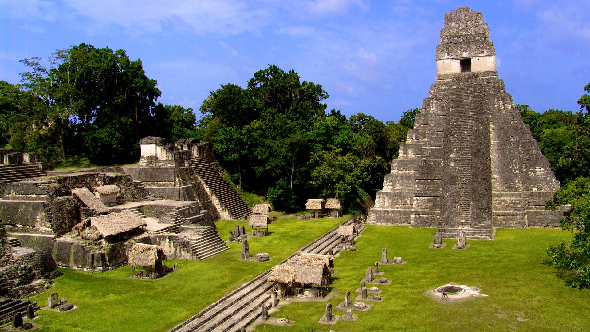 Ancient Mayan Civilization In Tikal, Guatemala Background