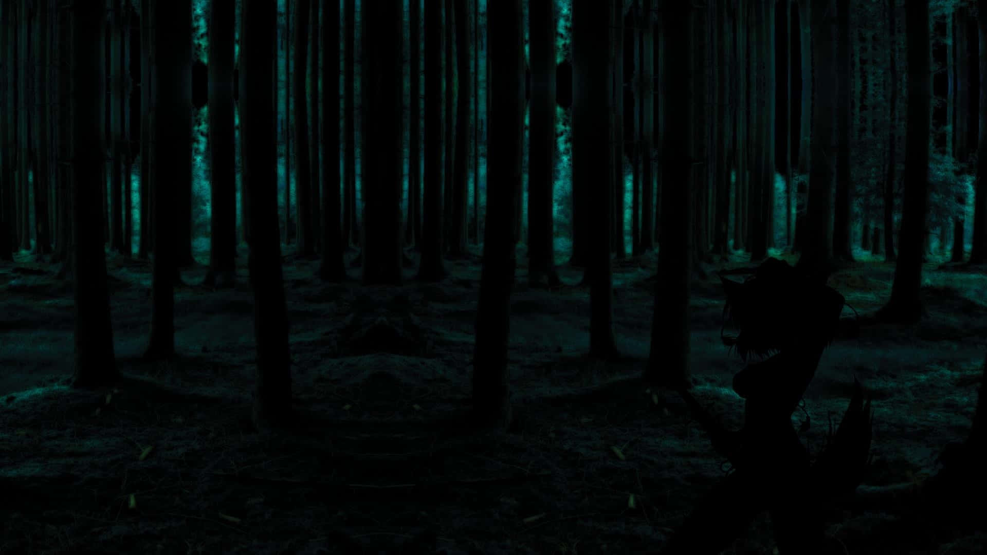 Ancient Moss-covered Redwood Trees In Dark Green Forest Background