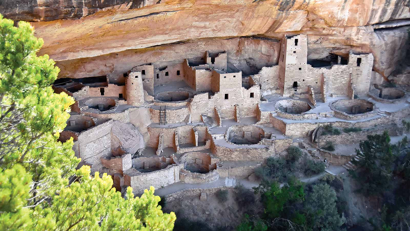 Ancient Puebloan Dwellings At Mesa Verde National Park Background