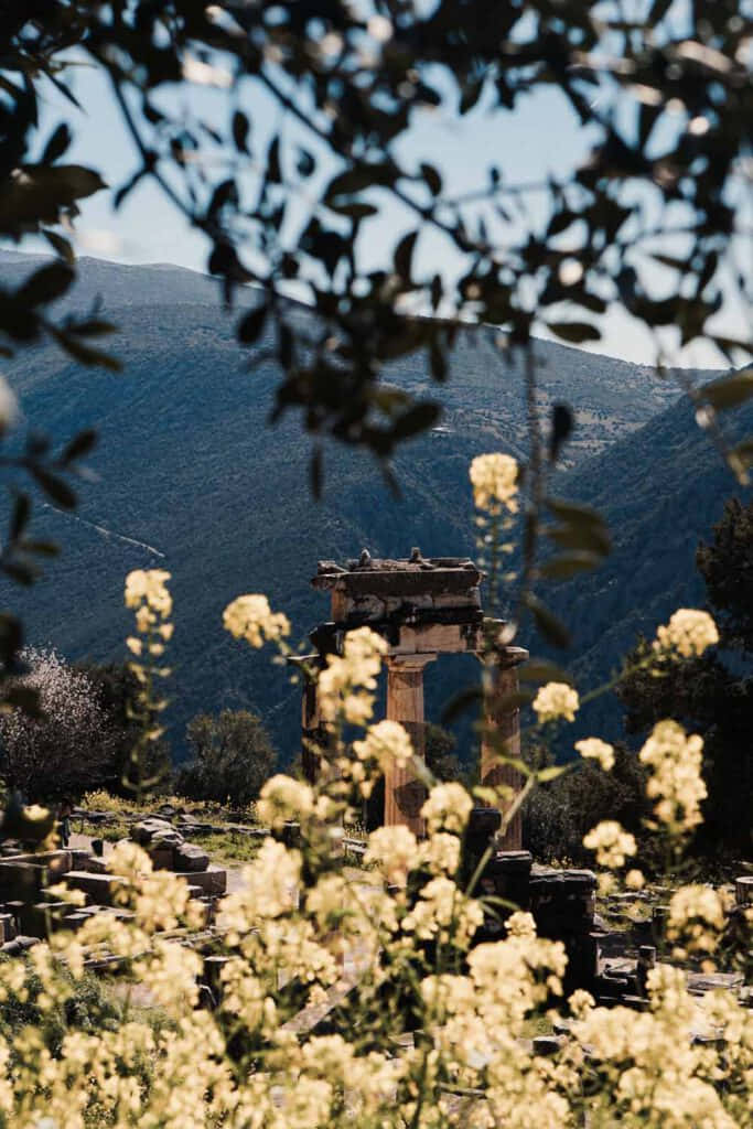 Ancient Ruins Of Delphi Temple In Greece Background