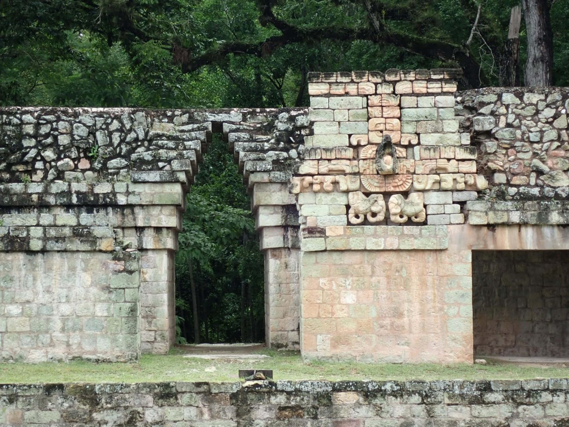 Ancient Splendor Of The Mayan Ruins In Copan Background