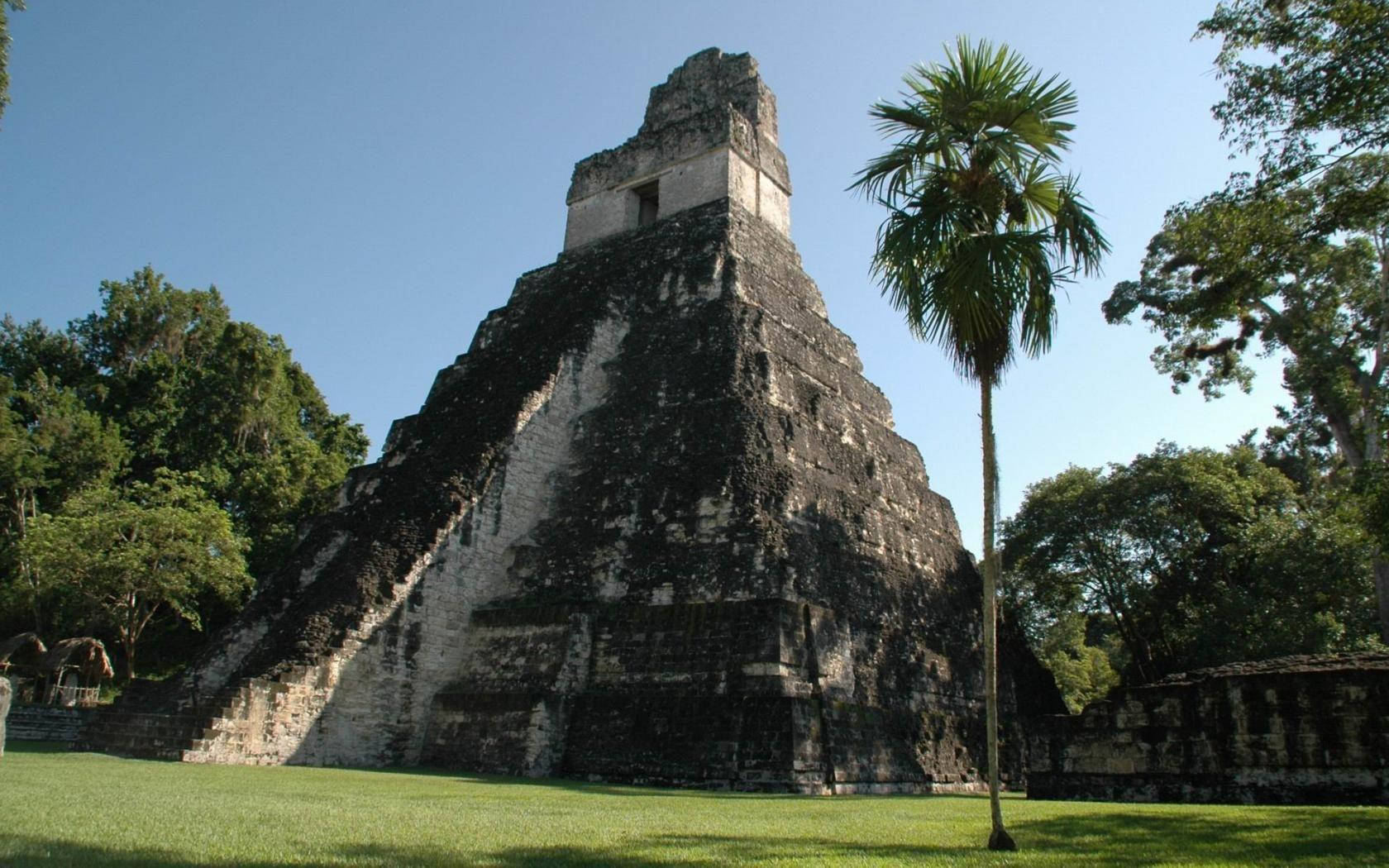 Ancient Tikal Pyramid Standing Tall Among Lush Greenery Background